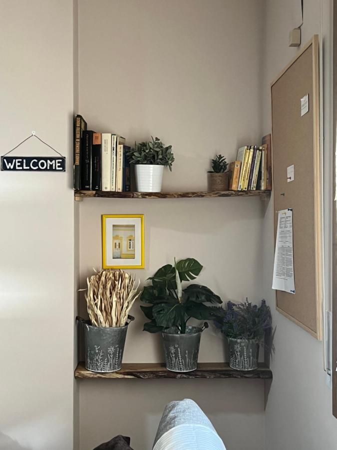 Apartamento Acogedor Pineta 비엘사 외부 사진